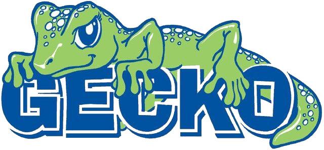 Gecko Children's Orthotics